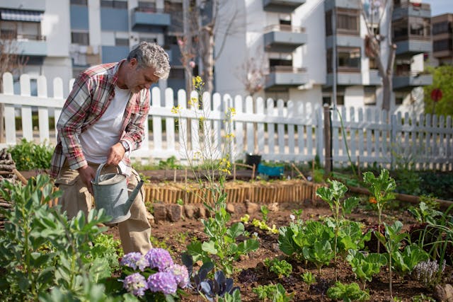 retired man gardening