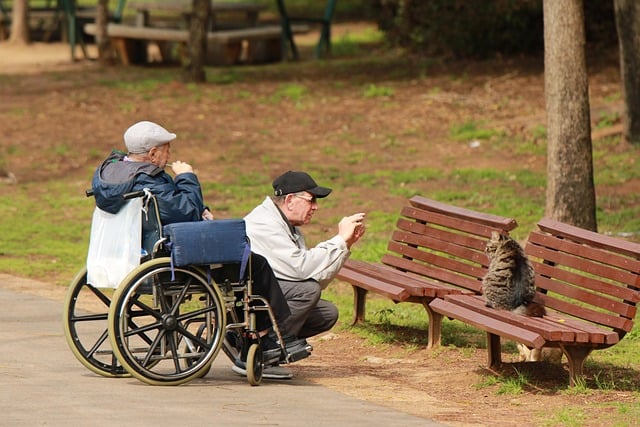 elderly man and a cat at park