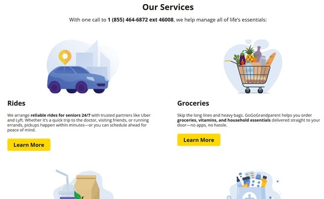 gogograndparent services