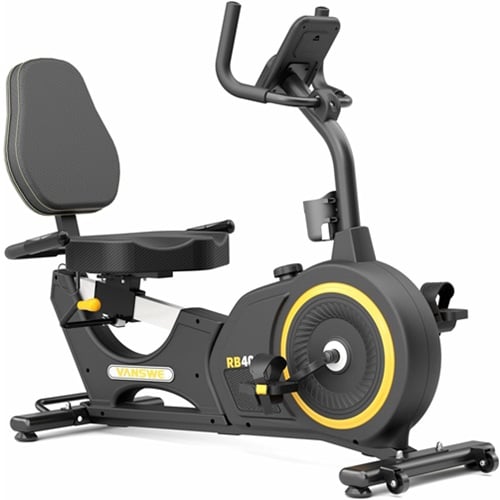 VANSWE Recumbent Exercise Bike