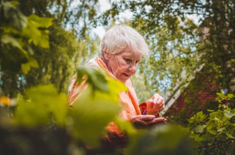 Practical Sensory Activities for Seniors at Home