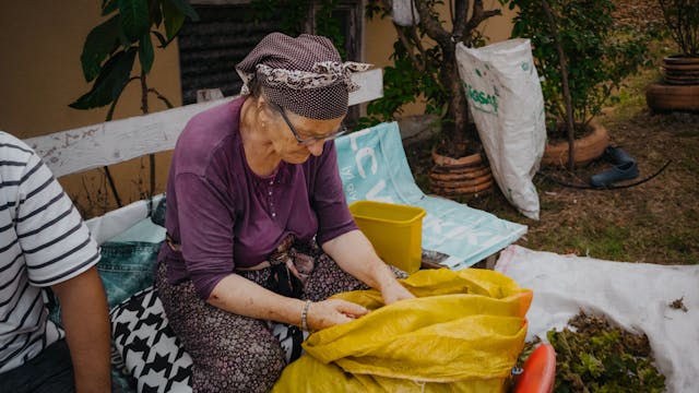 Elderly Woman Sorting Garden Produce Outdoors