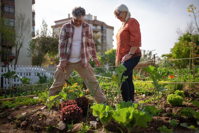 Elderly couple Vegetable Garden