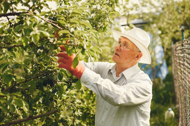 Man Looking at Tree Branch