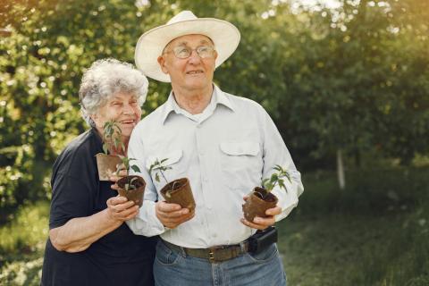 Smart Gardening for Seniors With Limited Mobility