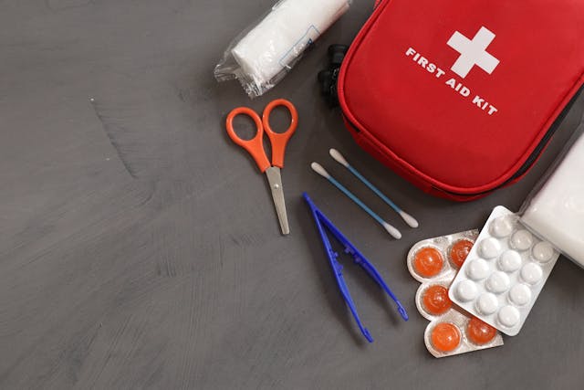 Travel medical kit